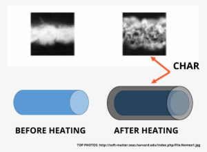 The Thicker Fiber Does Two Very Important Things - Circle #4299390