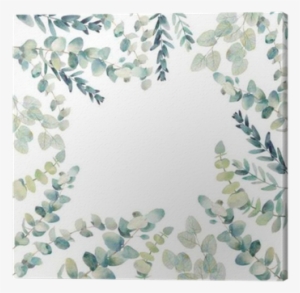 Watercolor Eucalyptus Card Design - Watercolor Eucalyptus #430114