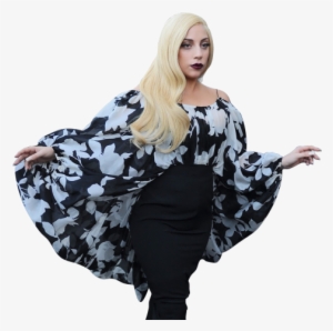 Follow My Main Account - Lady Gaga #430155