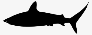Free Shark Silhouette, Download Free Clip Art, Free - Shark Svg #430334