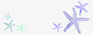 Starfish Clipart Border - Coral Reef Epcot Thanksgiving Menu #430416