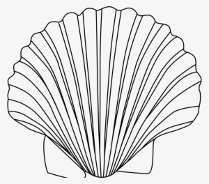 Seaside Clipart Sea Shell - Outline Of A Shell #430445