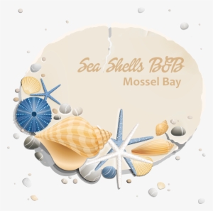 Sea Shells B&b - Barrier Cream #430561