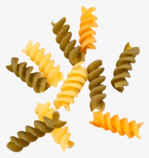 Fusilli Tri-color Shape - Photography #430674