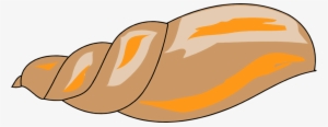 Shell Clipart Transparent Background #430937