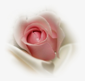 Pink Rosebud Insilk - Pink Rose Bud Png #431846