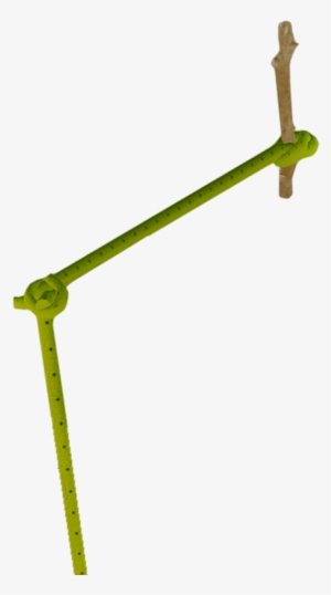 Portable Network Graphics #431962