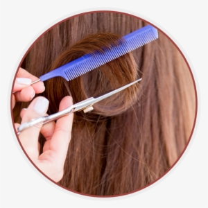 Circle - Lorenzo Pasquale Hair Design #432898