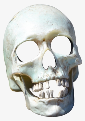 Skull Png Transparent Image - Skull Png #432928