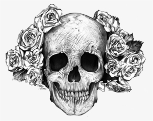 Transparent Skull - Rose Skull #432948