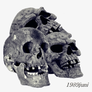 Pile Of Skulls Png Transparent Image - Stone Png For Editing #432976