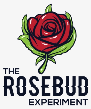 The Rosebud - Big Brother Brasil 15 #433065