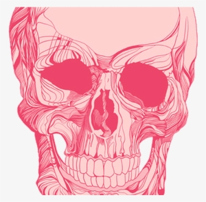 Pin By Marc Loresto On Skulls Pinterest Illustrations, - Pink Skull #433343