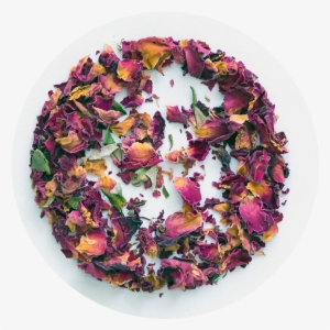 Rose Buds And Petals - Buds And Petals #433539