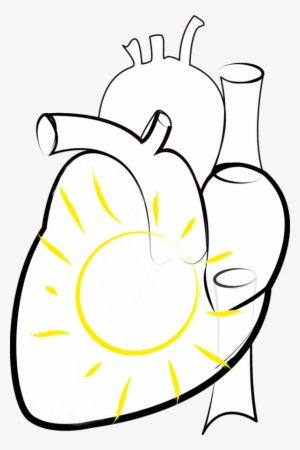 Vector, Photomontage, Illustration, Sketch, Heart, - Dibujo De Salud #433626