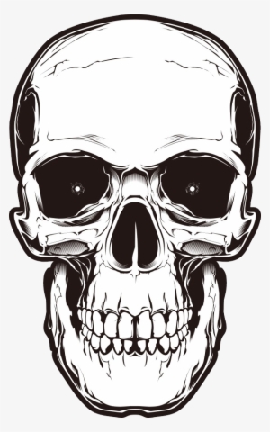 Skull Png #433960