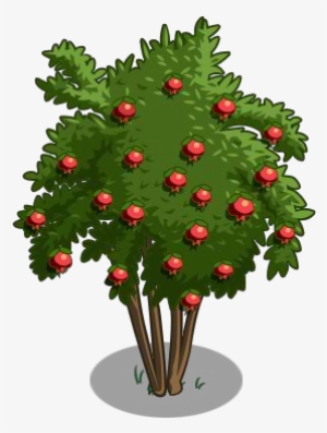 Pomegranate Tree 100-icon - Pomegranate Tree #434125