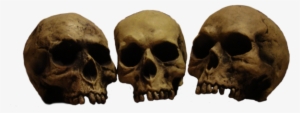Png Skulls Banner Stock - Skulls In A Row #434264