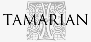 Doubtlessly Many Visitors Here Are Now Aware That I - Stamford American School Logo #434710