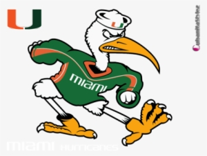 University Of Miami Hurricanes - Miami Hurricanes Bird Logo #434868