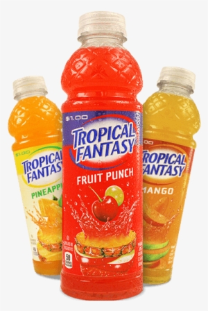 Tropical Fantasy #435999