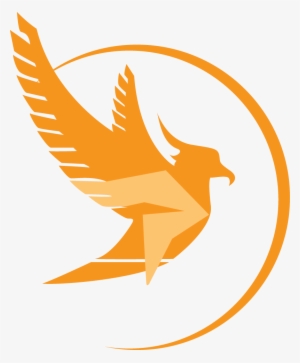 Phoenix Productions Mc Dj Lighting In Boston Ma - Phoenix Production #436762