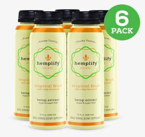 6 Pack Tropical Fruit - Tropical Fruit #436940