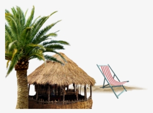 The Tropical Bay Bar Will Serve Exotic Cocktails And - Date Palm Tree Png #437863 The Tropical Bay Bar Will Serve Exotic Cocktails And - Date Palm Tree Png #437863