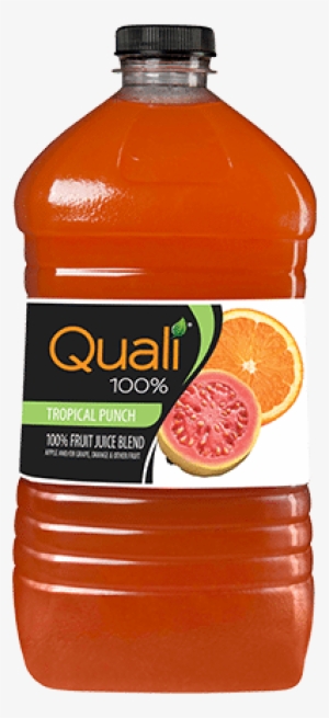 Quali 100% Tropical Punch - Punch #437885