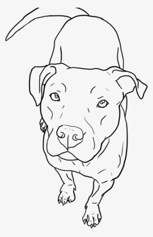 Pitbull - Easy Pitbull Face Drawings #438019