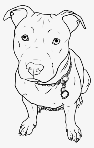 Free Pit Bull Line Art 7 By Wolfie Undead D6tvryp Png - Easy Drawings Of Pitbulls #438311