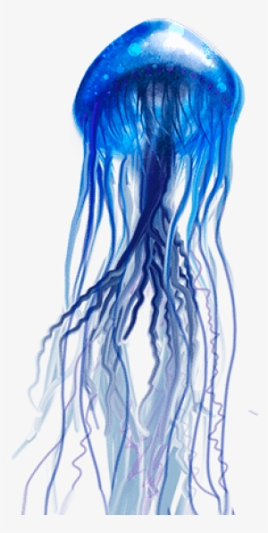 Medusa De Mar Png - Jellyfish #438447