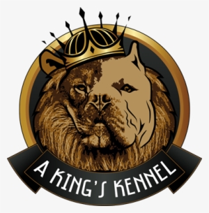 Kings Kennel - Logo Exotic Bully #439066