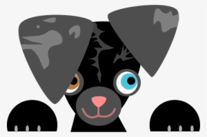 Yorkshire Terrier #439135