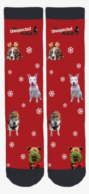 French Bulldog #439272