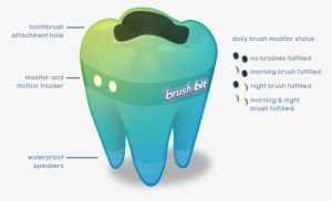 Crest Bit Breakdown #439340