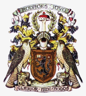 The Buchanan Society Shield - Clan Buchanan Coat Of Arms #439343