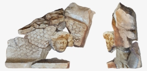 Medusa Sculpture Digital Reconstruction - Woman's Head (fernande) #439814