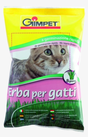 Hierba Para Gatos, 100 Grs - Gimpet Hy Gras - Cat Grass 150g #4300065