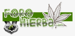 Heart, Head, And Hands Of A Servant Leader #4300150