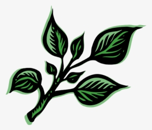 Hierbas Png - Herb Definition #4300350