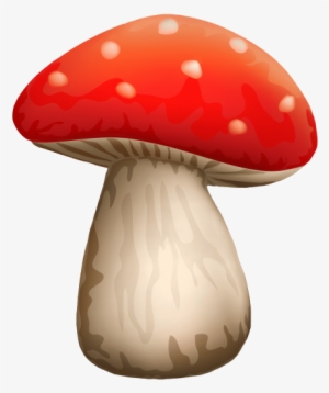 Free Png Poisonous Red Mushroom With White Dots Png - Red Mushroom Png #4300383