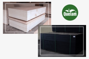 Plywood First Pic - Plywood #4300704