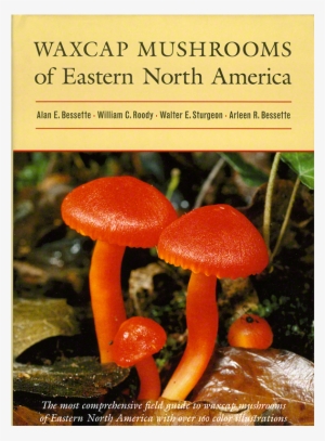 Waxcap Mushrooms Of Eastern North America #4300866