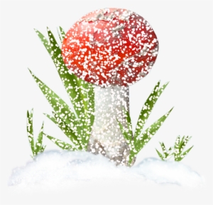 Red Mushrooms - Mushroom #4301057