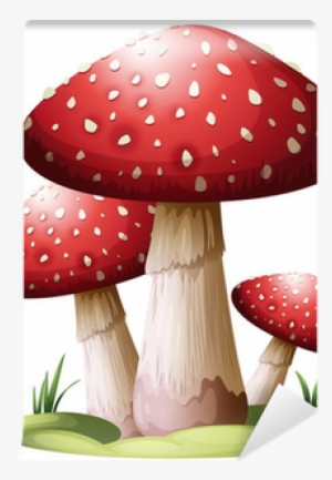 Mushroom Red #4301188 Mushroom Red #4301188
