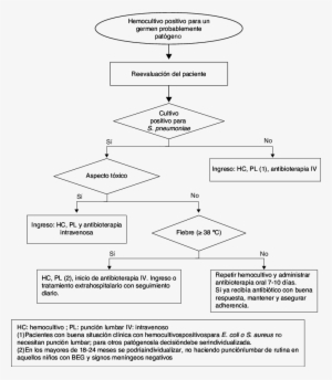 Actitud Ante Un Hemocultivo Positivo En El Paciente - Patient #4301476