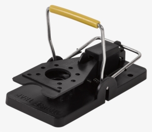 Wild Cats For Mice - Hole Punch #4301729