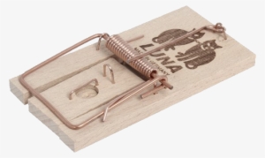 Download - Set Mouse Trap Luna #4301793