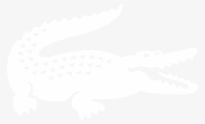 Lacoste Magazine Lifestyle - T Shirt Lacoste Logo #4301874